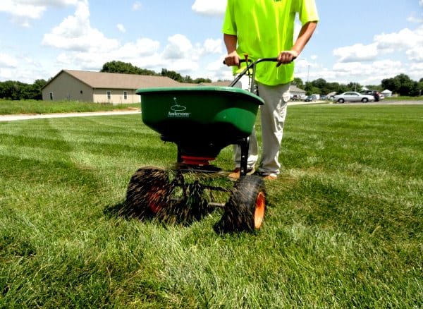 Aerating and Overseeding