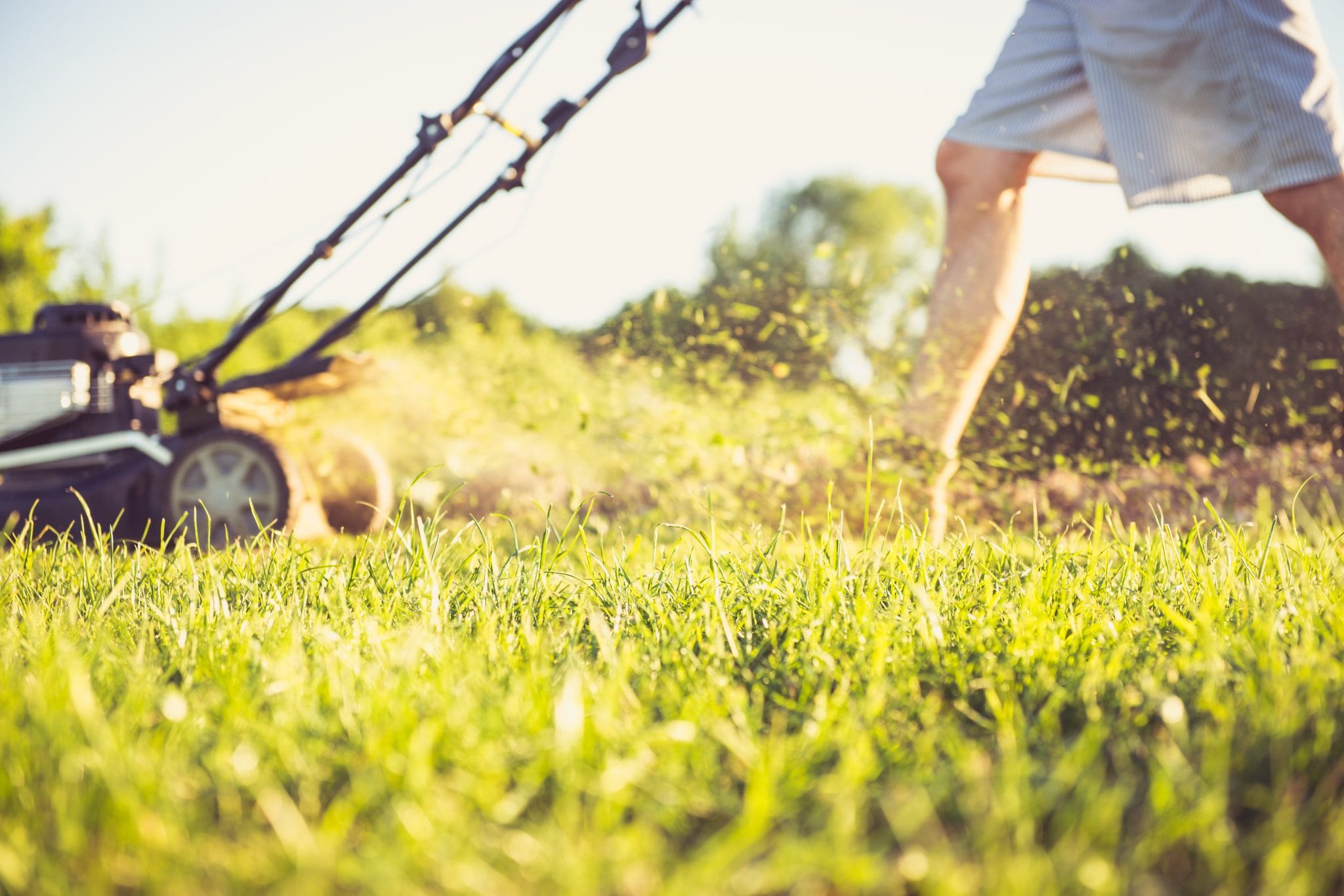 When to Mow Your Lawn and What to Consider