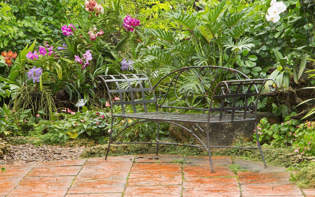Bench against lush background in rainy day