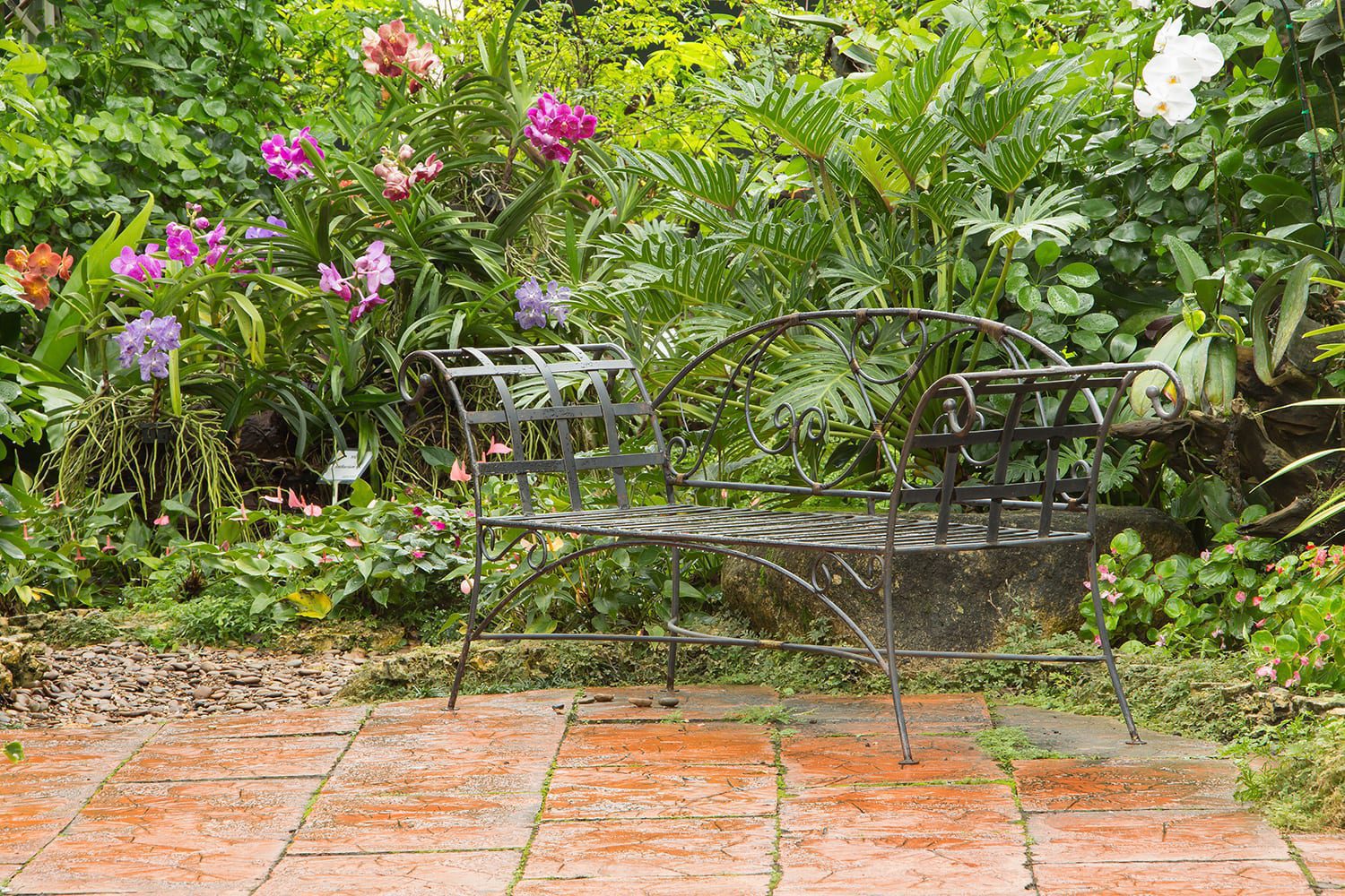 What May Showers Mean for Your June Maryland Landscape
