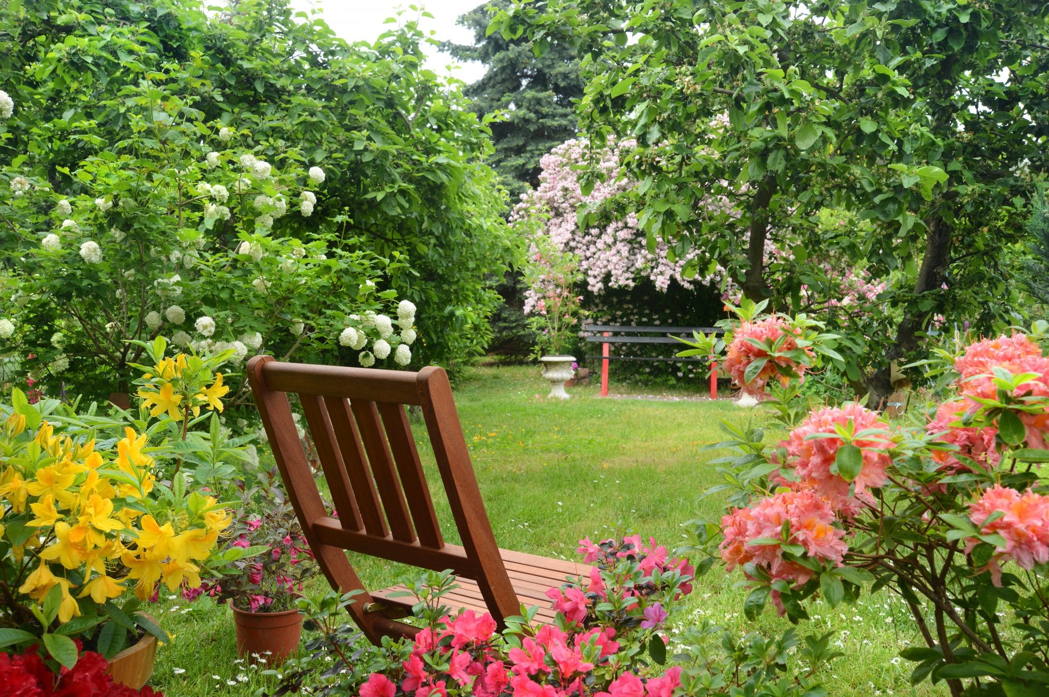 Keep Your Flowers Blooming: Summer Yard Maintenance 101