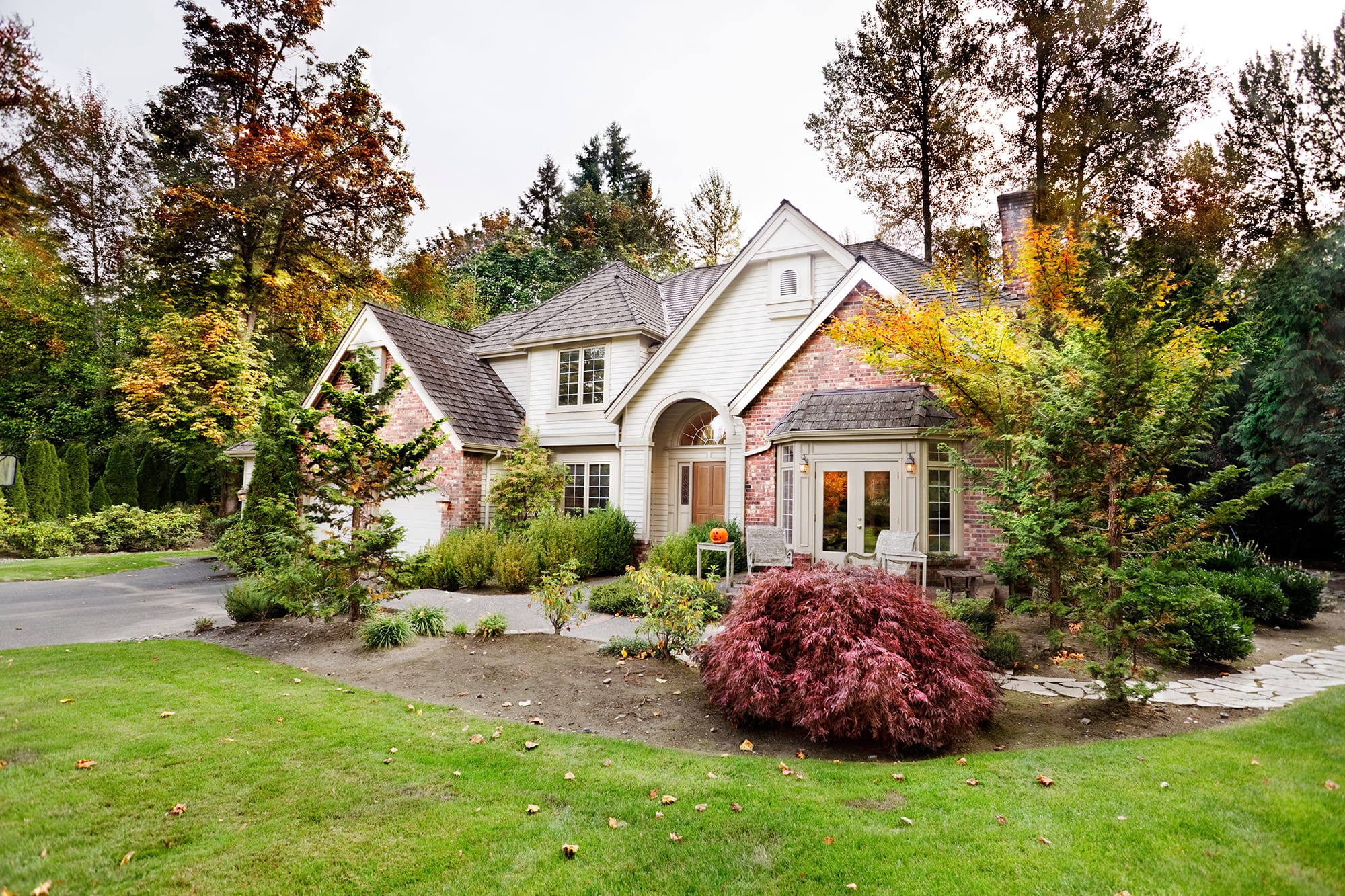 Get Ready for Fall in Your Yard
