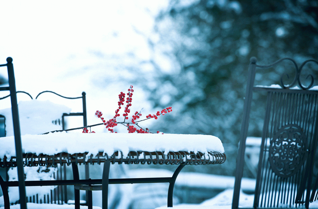 snow on table