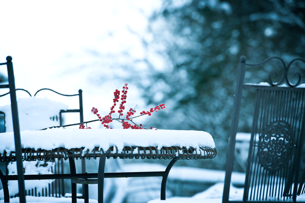Winter Doesn’t Mean a Boring Landscape