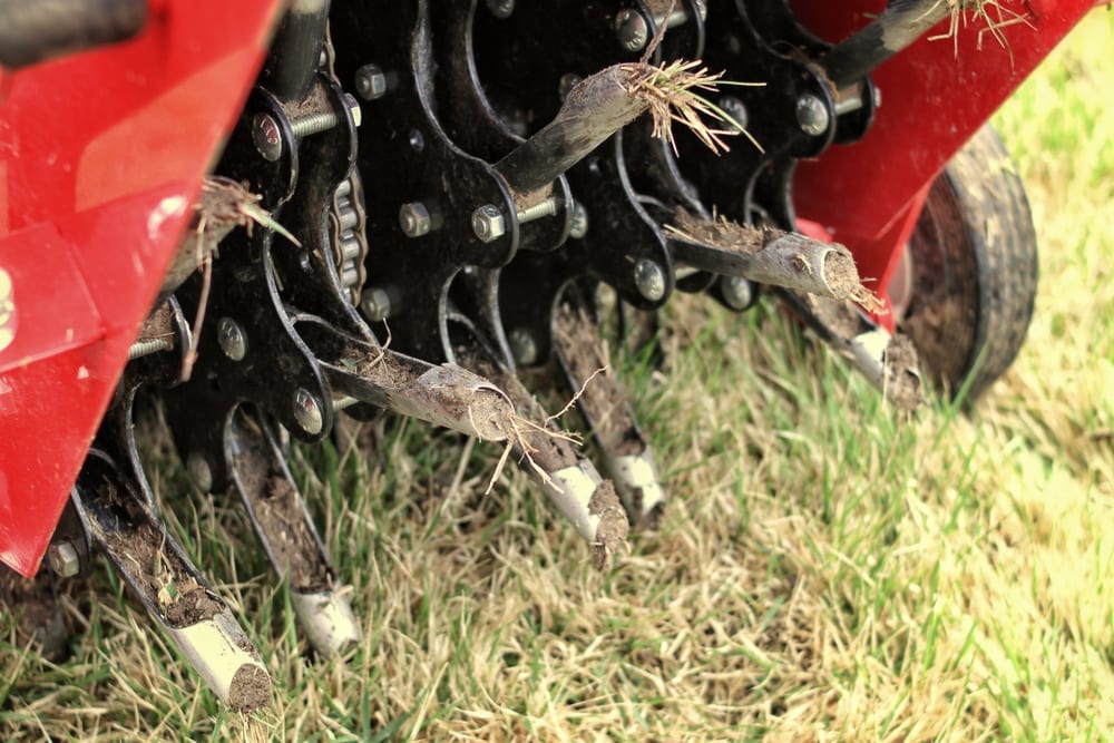 All About Aeration