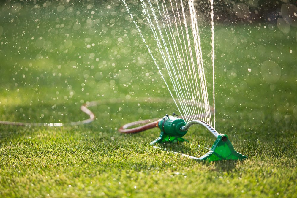 Taking Care of Your Lawn This Summer