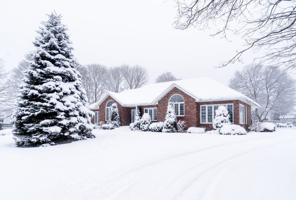 winter storm