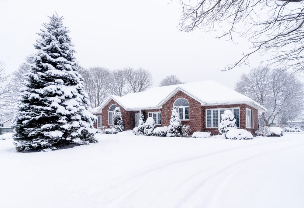 Taking Care of Your Landscape During the Winter