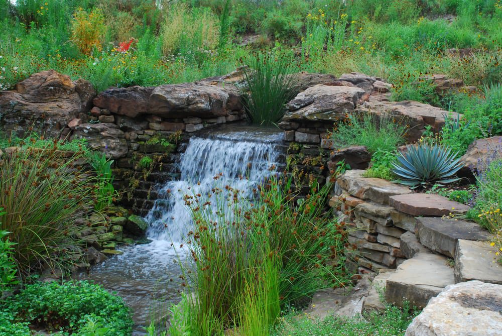 Incorporating Native Plants into Your Commercial Landscape