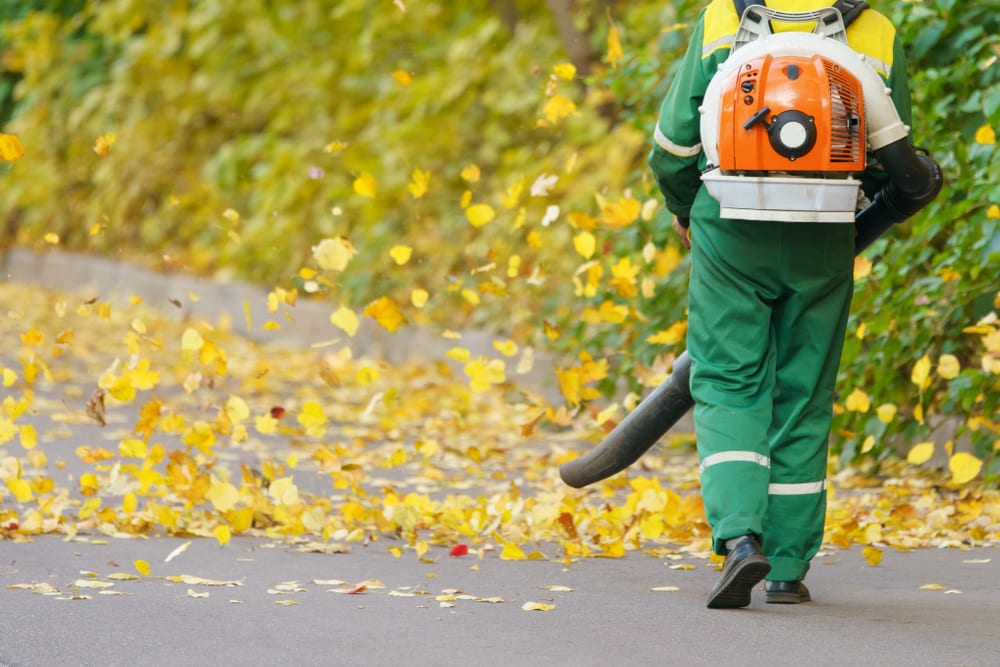 Tackling Leaf Removal This December