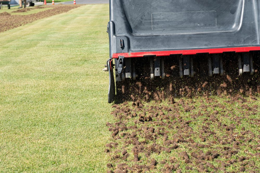 What You Should Know About Lawn Aeration