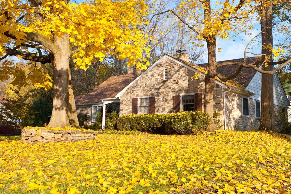 4 Reasons Why Fall Clean-Up Is Important