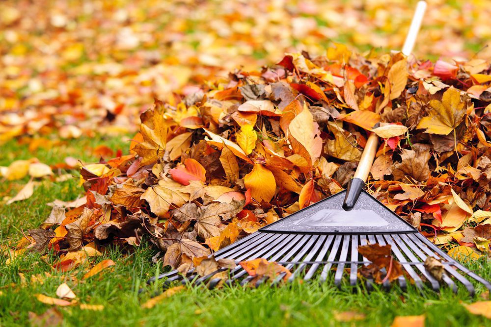 5 Common Fall Landscaping Mistakes