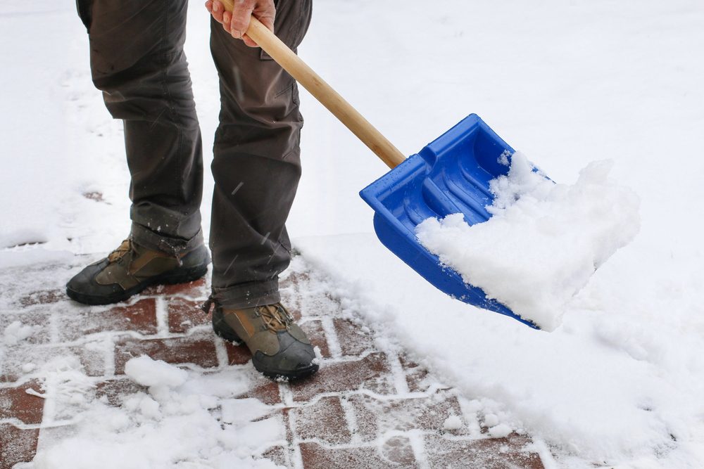 Easy Winter Lawn Care Tips