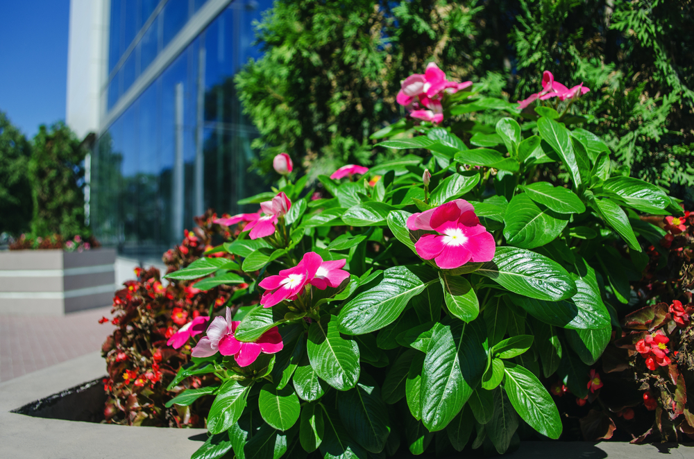 3 Ways Commercial Landscaping Can Make Your Business Stand Out