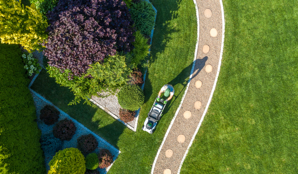 The Environmental Benefits of Professional Lawn Care