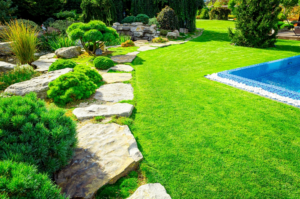 How Professional Lawn Care Services Can Improve Your Home Value