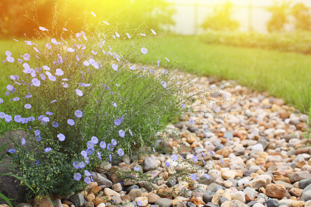 How Landscaping Can Conserve Water and Reduce Your Water Bills