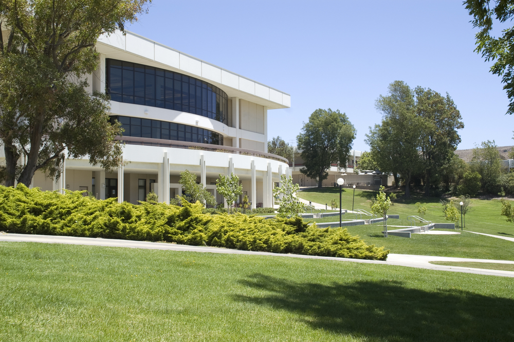 Commercial Landscape Design: Balancing Aesthetics and Functionality
