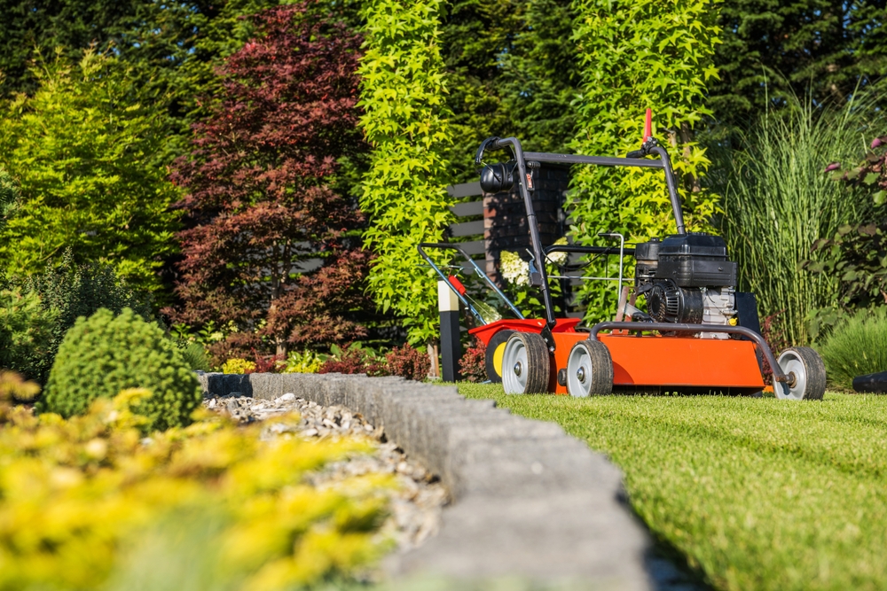What You Should Know About Aeration and Overseeding