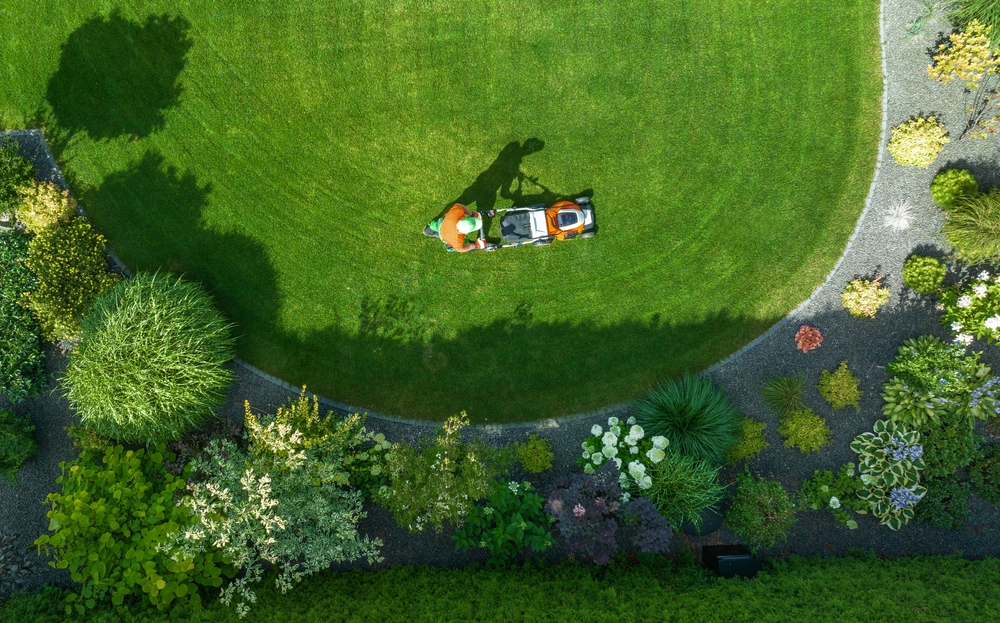 Landscaping Mistakes to Avoid for a Healthy Yard