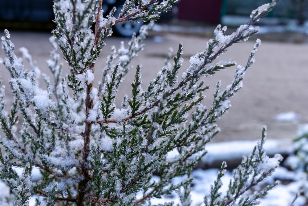 Our Essential Tips for Winterizing Your Commercial Property