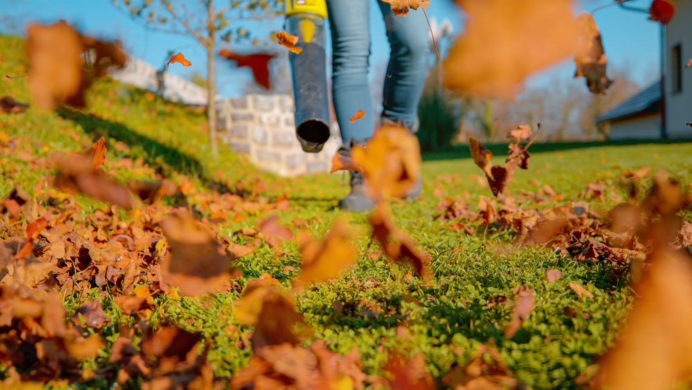How Seasonal Changes Affect Your Landscaping Needs