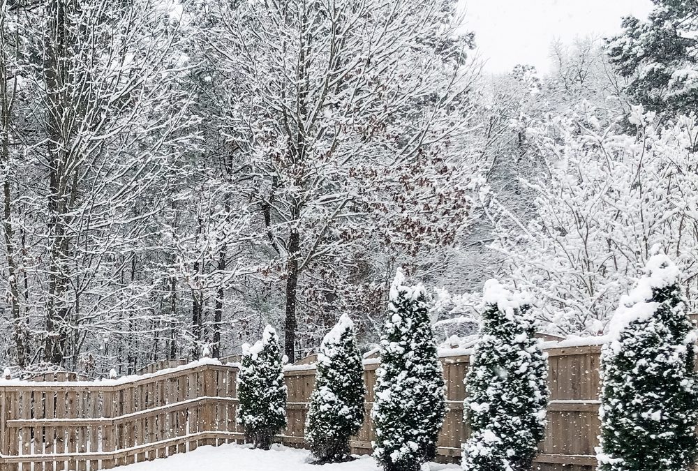 The Value of One Vendor for Snow, Lawn, and Landscape Maintenance