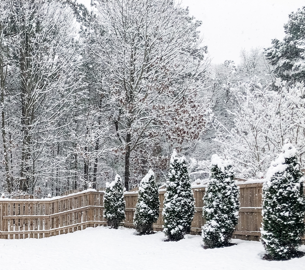 The Value of One Vendor for Snow, Lawn, and Landscape Maintenance