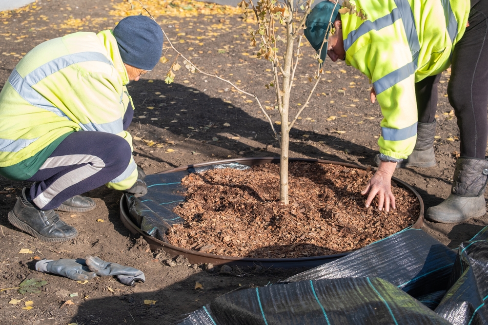 Mulch Matters: The Benefits of Mulching for Commercial Landscaping in Late Fall and Early Winter