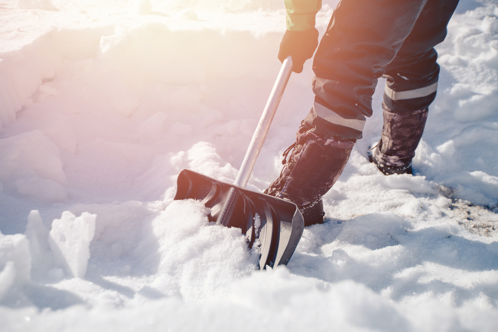 Seasonal Grounds Maintenance Checklist for Homeowners