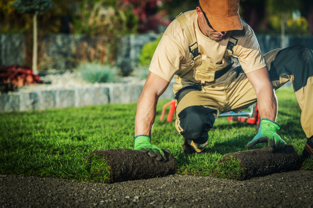 Benefits of Outsourced Property Maintenance for Businesses and Property Owners