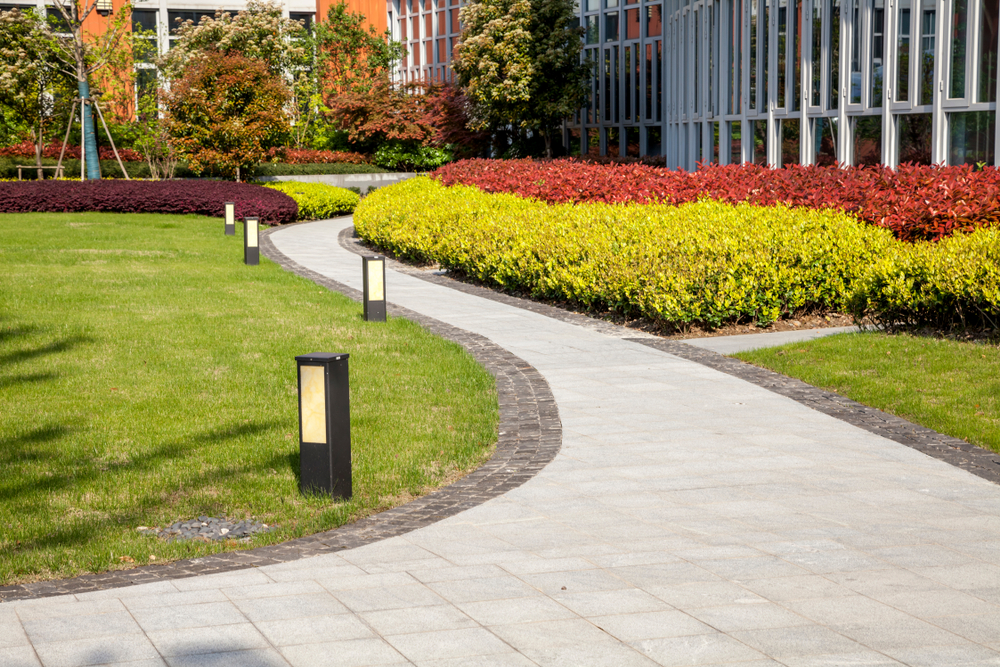The Role of Professional Commercial Landscaping in Brand Image and Customer Perception