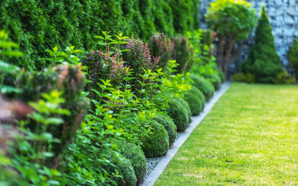 How Grounds Maintenance Can Help Attract and Retain Tenants