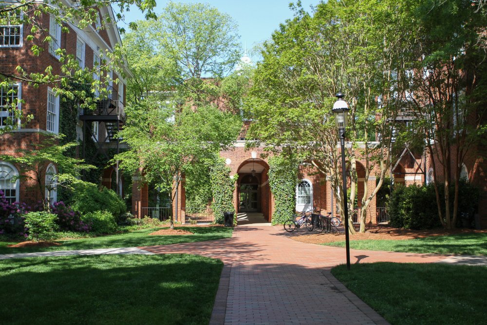 Why First Impressions Matter: The ROI of Well-Maintained Commercial Grounds